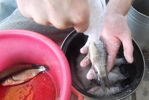 Как быстро почистить рыбу от чешуи?